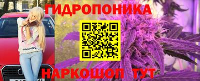альфа пвп Новокубанск