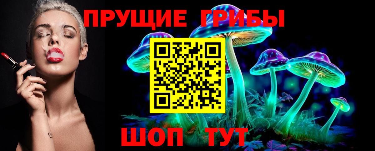 Галлюциногенные грибы Psilocybe  Вход с VPN  Северобайкальск 